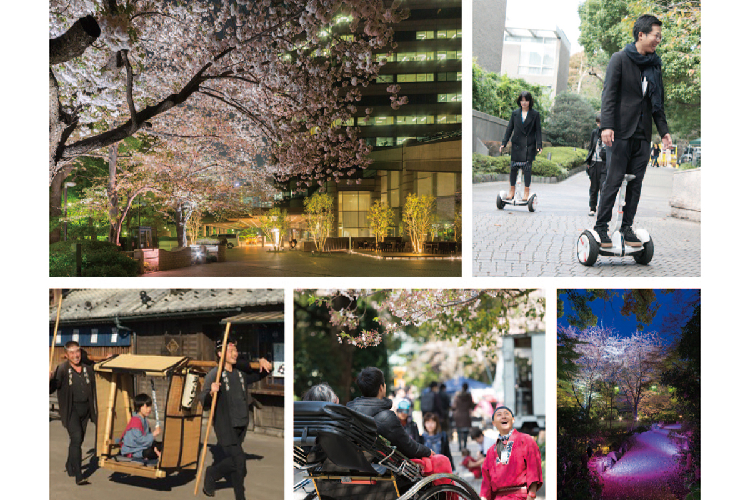 さくらまつり 桜回廊