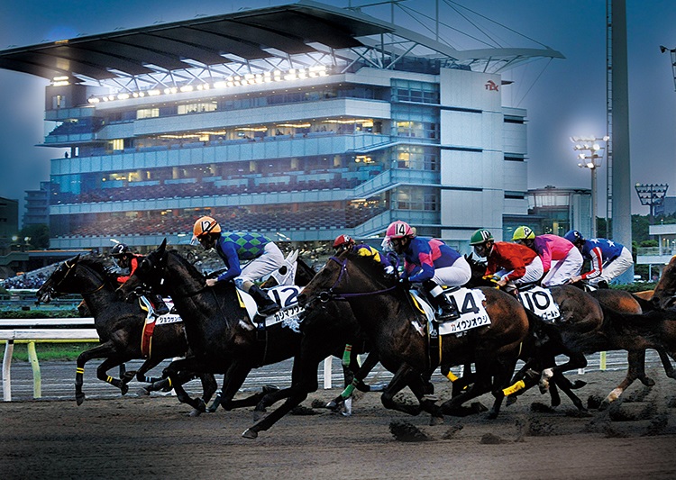 大井競馬場 | しながわ観光協会