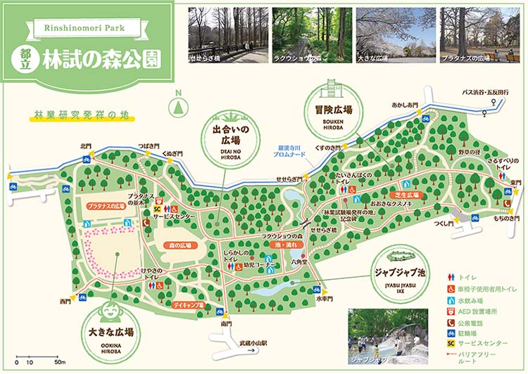林試の森　マップ