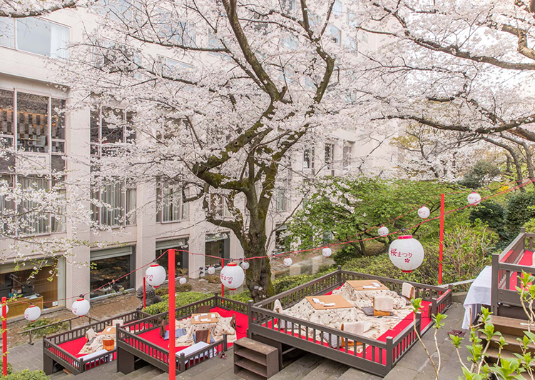 桜と桜桟敷席(グランドプリンスホテル高輪)