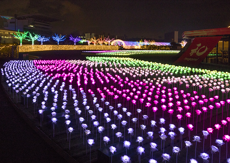 TOKYO MEGA ILLUMINATIO