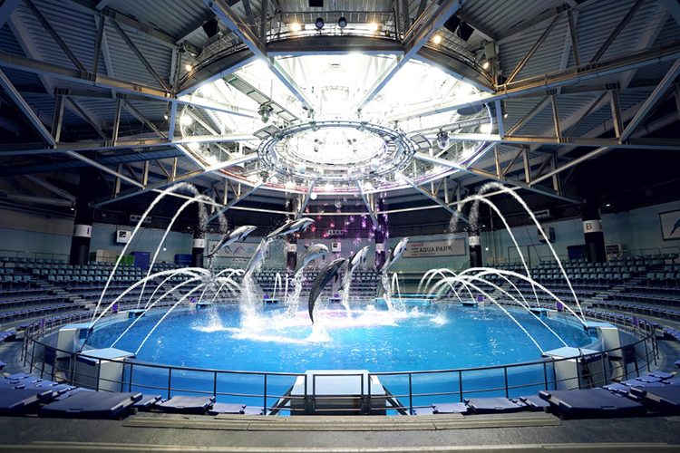 アクアパーク品川 NAKED STAR AQUARIUM