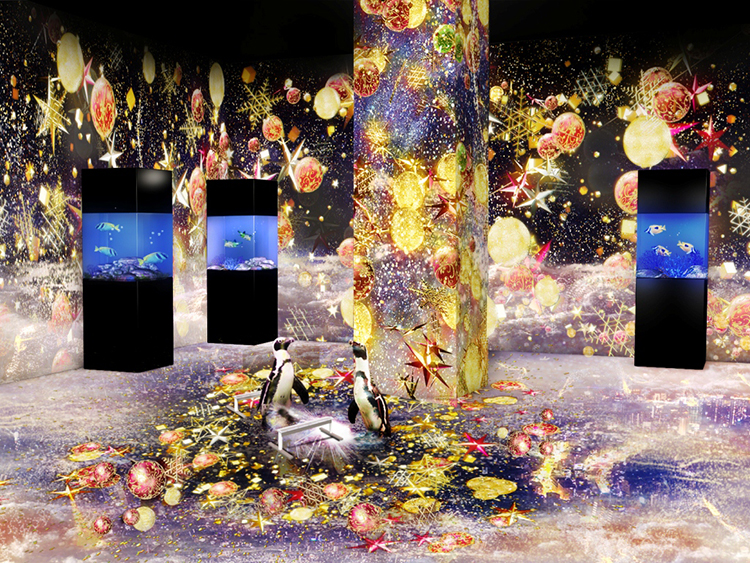 アクアパーク品川 NAKED STAR AQUARIUM