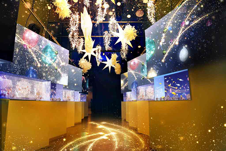 アクアパーク品川 NAKED STAR AQUARIUM