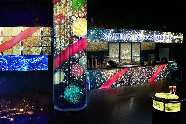 アクアパーク品川 NAKED STAR AQUARIUM