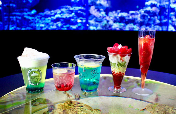 アクアパーク品川 NAKED STAR AQUARIUM