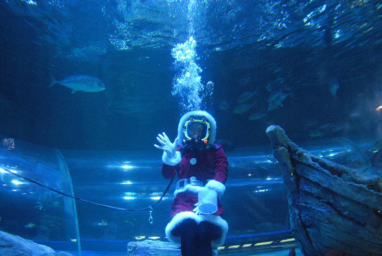 しな水のクリスマス2019