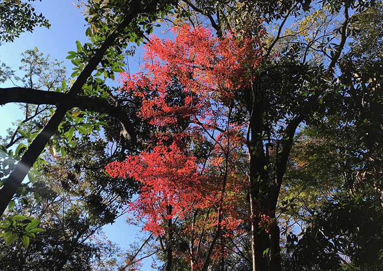 大井ふ頭海浜公園