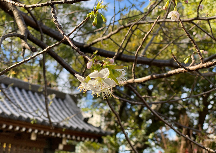 戸越公園
