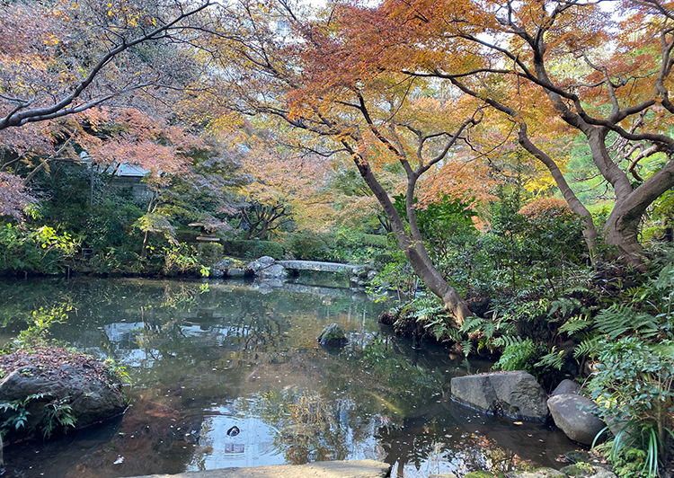 池田山公園