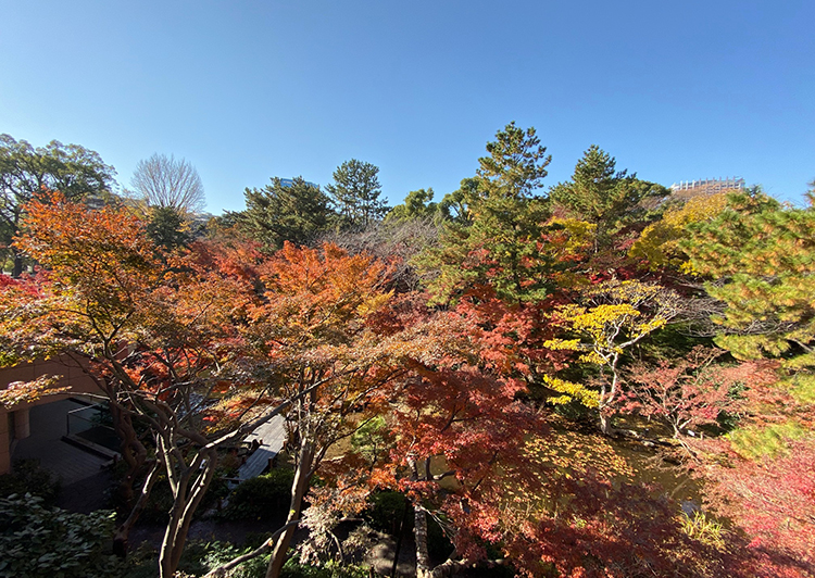 御殿山庭園