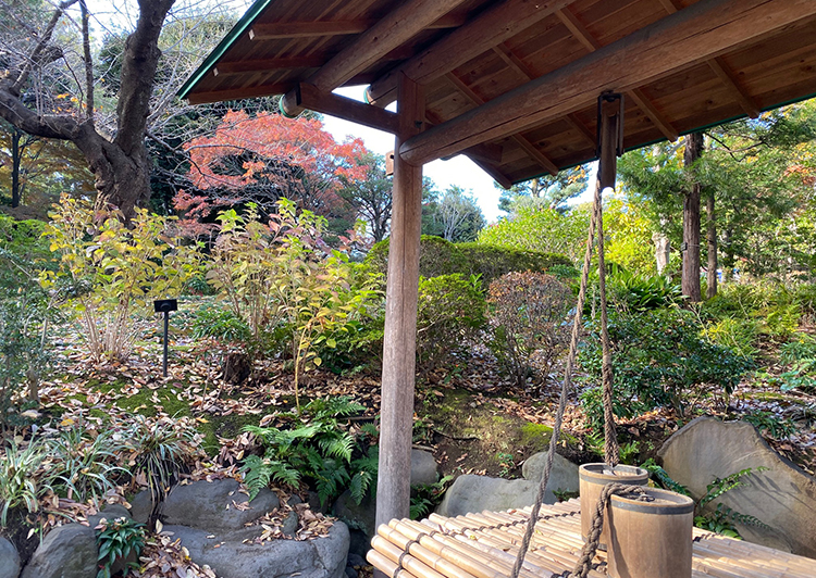 池田山公園
