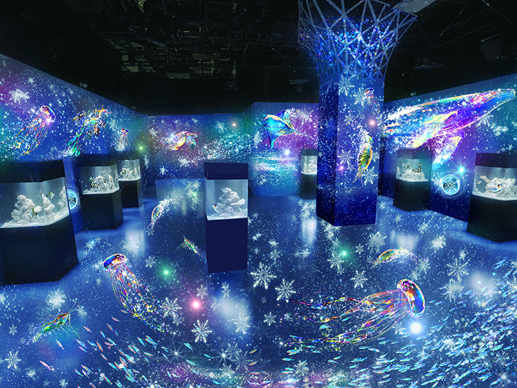 マクセル アクアパーク品川 NAKED SNOW AQUARIUM