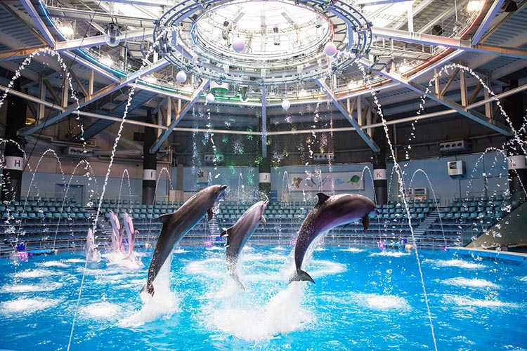 マクセル アクアパーク品川 NAKED SNOW AQUARIUM