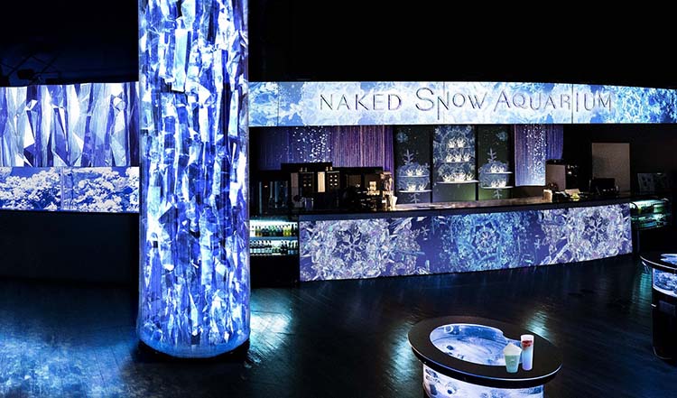 マクセル アクアパーク品川 NAKED SNOW AQUARIUM
