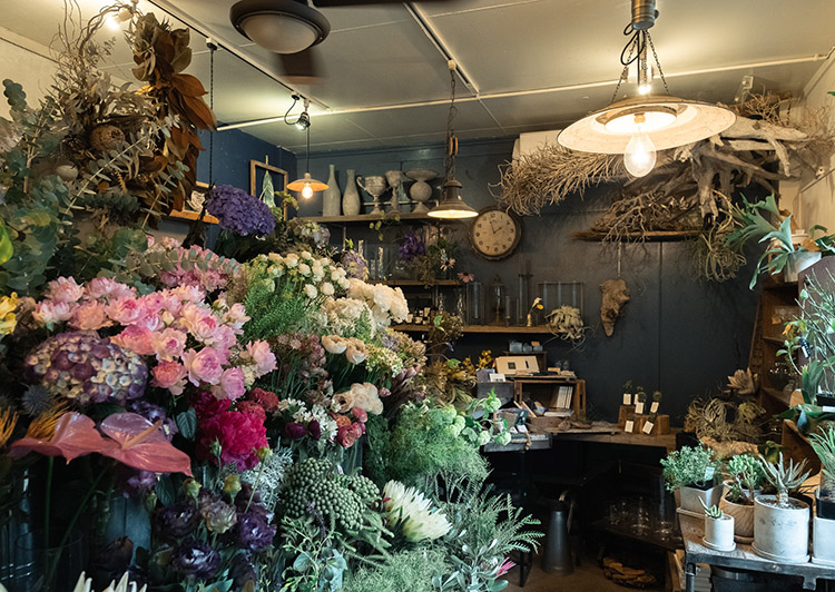 品川の素敵な花屋 観葉植物店を訪ねて しながわ観光協会