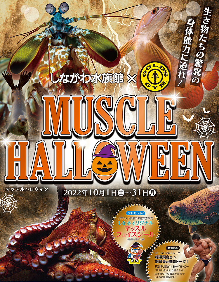 しながわ水族館 マッスルハロウィン