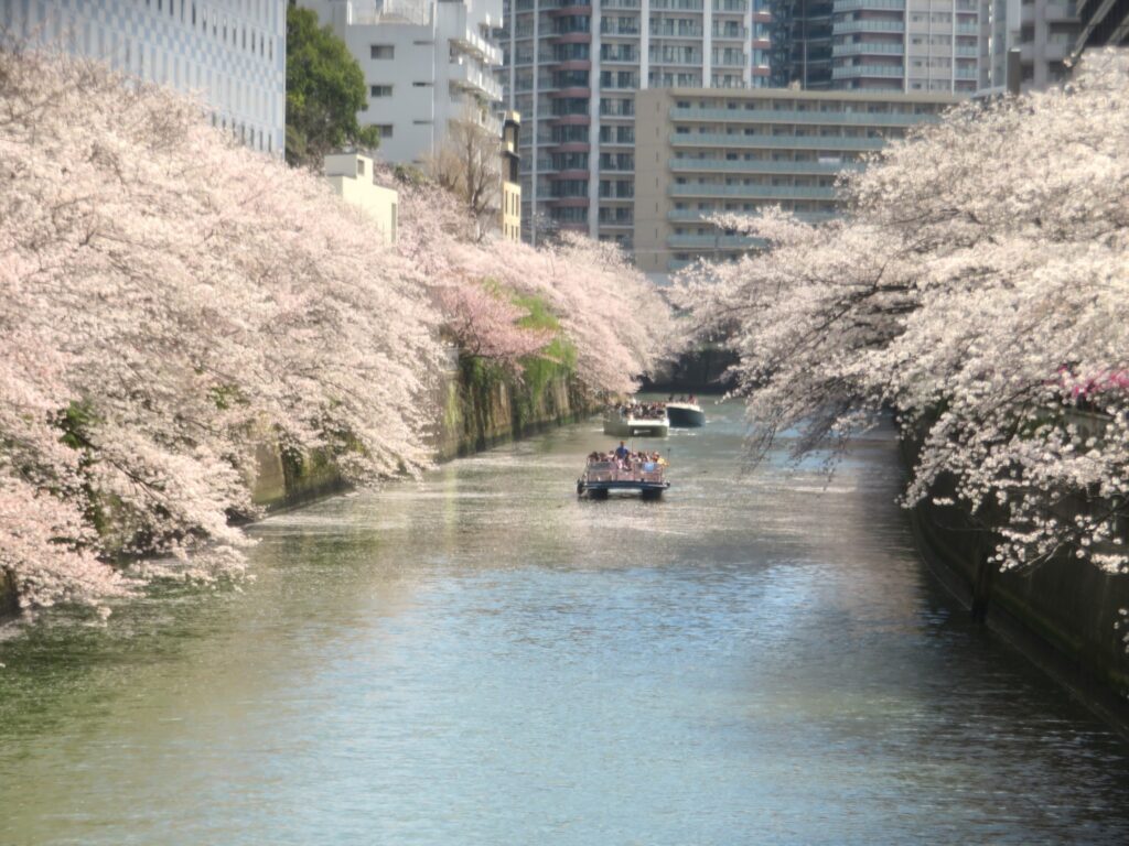 目黒川　太鼓橋～亀の甲橋