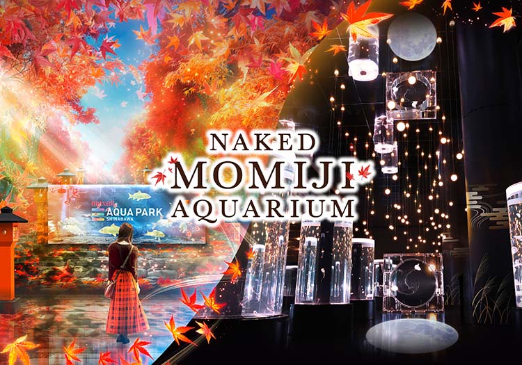 マクセル アクアパーク品川「NAKED MOMIJI AQUARIUM」