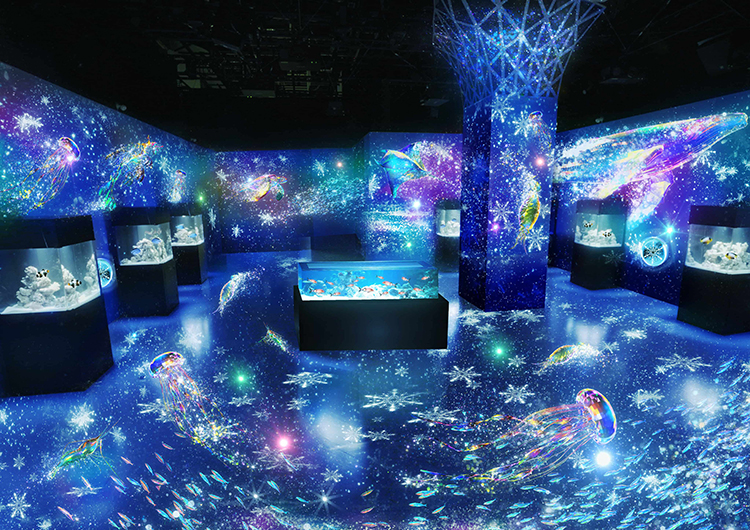 マクセル アクアパーク品川「NAKED SNOW AQUARIUM」