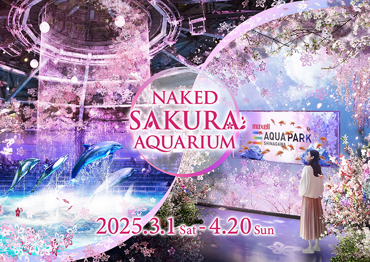 マクセル アクアパーク品川「NAKED SAKURA AQUARIUM」